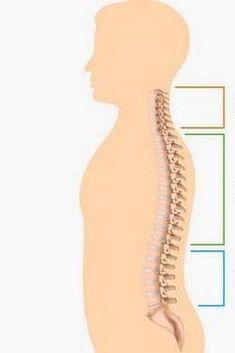 lesion of osteochondosis of different parts of the spine